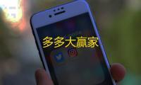 多多大赢家
